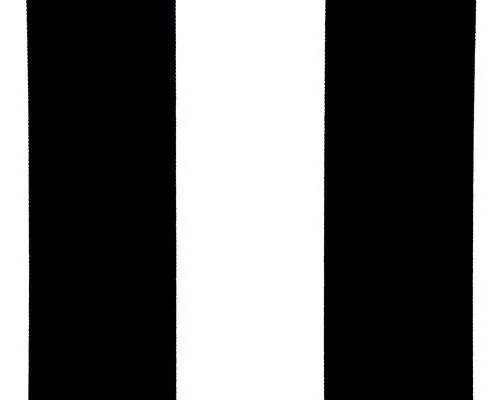 Vertical Black White Fabric By Premier Prints